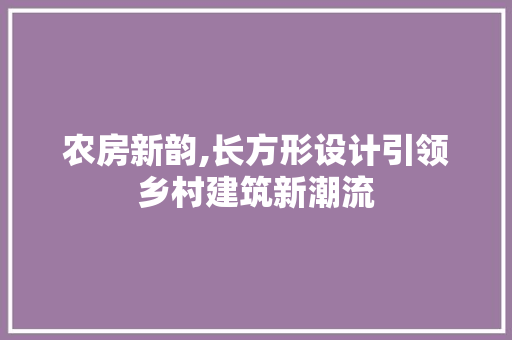 农房新韵,长方形设计引领乡村建筑新潮流