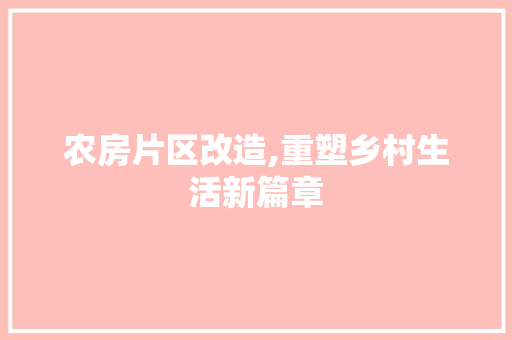 农房片区改造,重塑乡村生活新篇章
