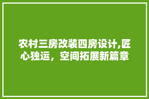 农村三房改装四房设计,匠心独运，空间拓展新篇章