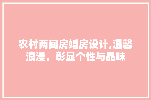 农村两间房婚房设计,温馨浪漫，彰显个性与品味