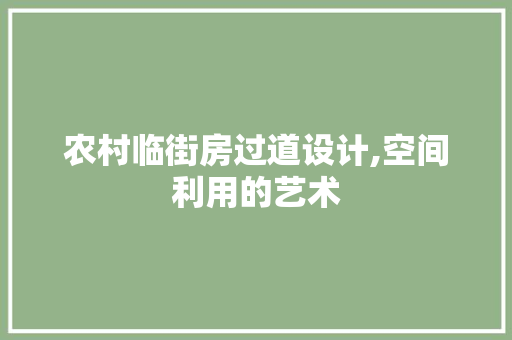 农村临街房过道设计,空间利用的艺术