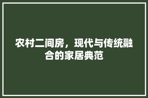农村二间房，现代与传统融合的家居典范