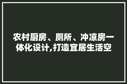农村厨房、厕所、冲凉房一体化设计,打造宜居生活空间