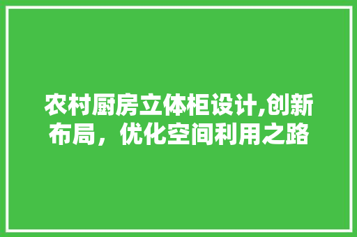 农村厨房立体柜设计,创新布局，优化空间利用之路