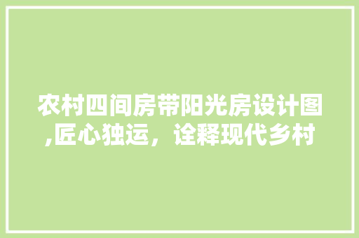 农村四间房带阳光房设计图,匠心独运，诠释现代乡村生活美学