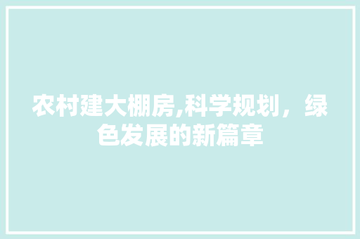 农村建大棚房,科学规划，绿色发展的新篇章