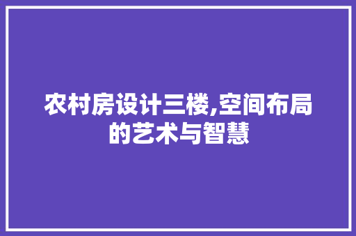 农村房设计三楼,空间布局的艺术与智慧