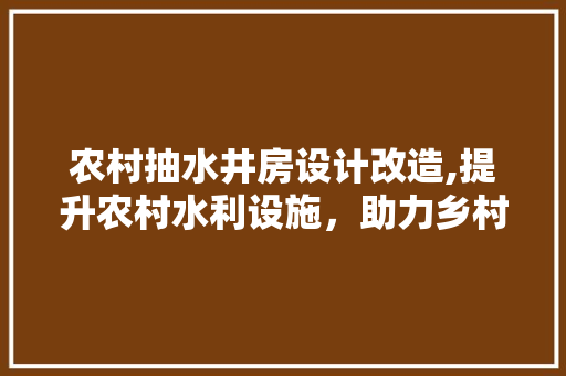 农村抽水井房设计改造,提升农村水利设施，助力乡村振兴
