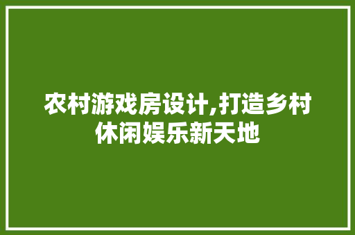 农村游戏房设计,打造乡村休闲娱乐新天地