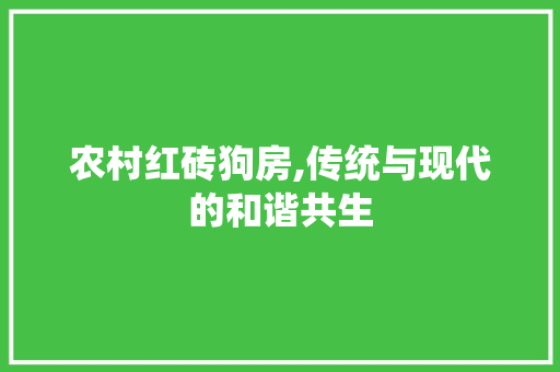 农村红砖狗房,传统与现代的和谐共生