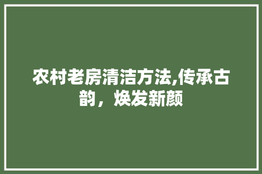 农村老房清洁方法,传承古韵，焕发新颜