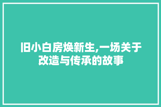 旧小白房焕新生,一场关于改造与传承的故事