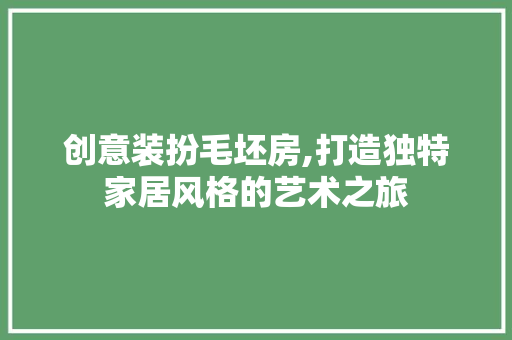 创意装扮毛坯房,打造独特家居风格的艺术之旅