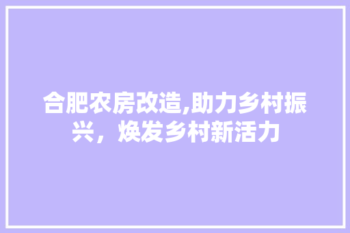 合肥农房改造,助力乡村振兴，焕发乡村新活力