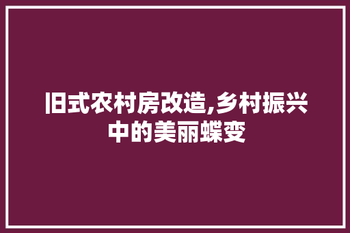 旧式农村房改造,乡村振兴中的美丽蝶变