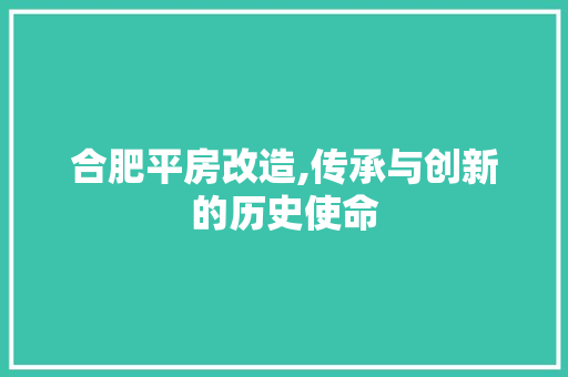 合肥平房改造,传承与创新的历史使命