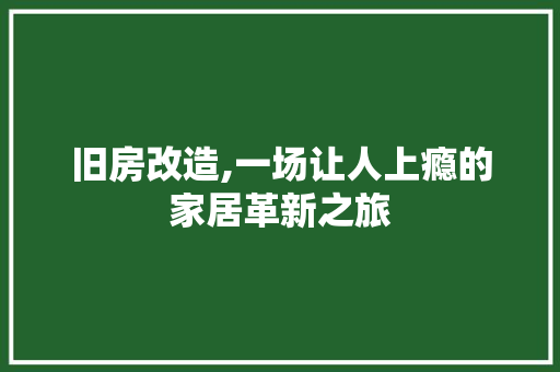 旧房改造,一场让人上瘾的家居革新之旅