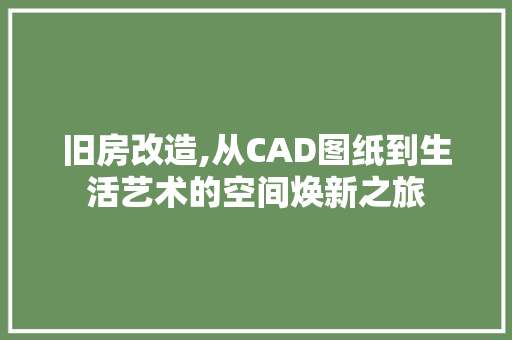 旧房改造,从CAD图纸到生活艺术的空间焕新之旅