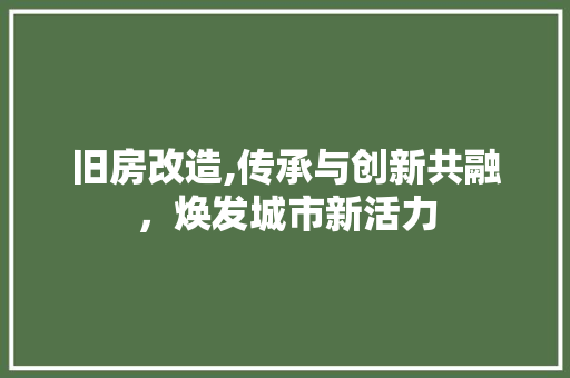 旧房改造,传承与创新共融，焕发城市新活力