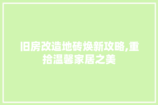 旧房改造地砖焕新攻略,重拾温馨家居之美