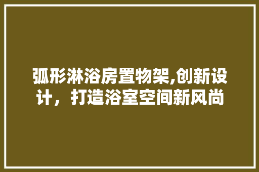 弧形淋浴房置物架,创新设计，打造浴室空间新风尚