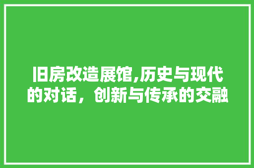 旧房改造展馆,历史与现代的对话，创新与传承的交融