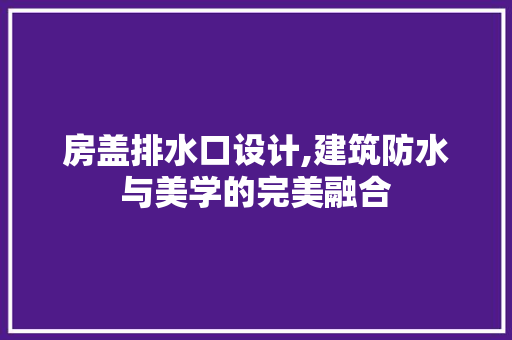房盖排水口设计,建筑防水与美学的完美融合