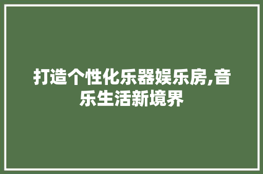 打造个性化乐器娱乐房,音乐生活新境界