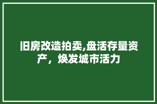 旧房改造拍卖,盘活存量资产，焕发城市活力