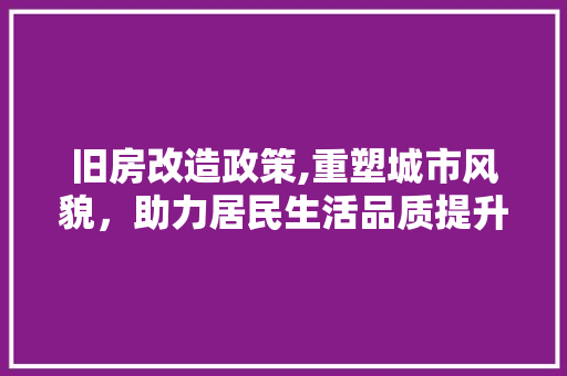 旧房改造政策,重塑城市风貌，助力居民生活品质提升