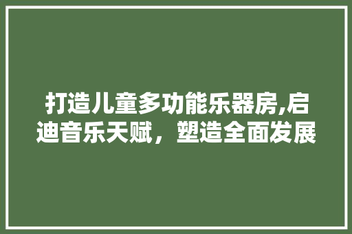 打造儿童多功能乐器房,启迪音乐天赋，塑造全面发展