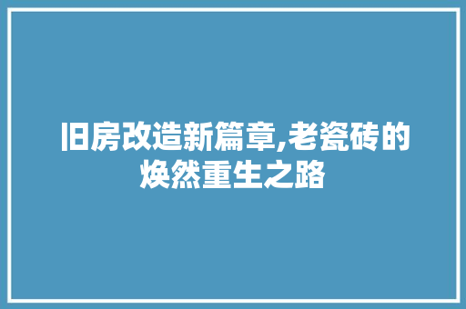 旧房改造新篇章,老瓷砖的焕然重生之路