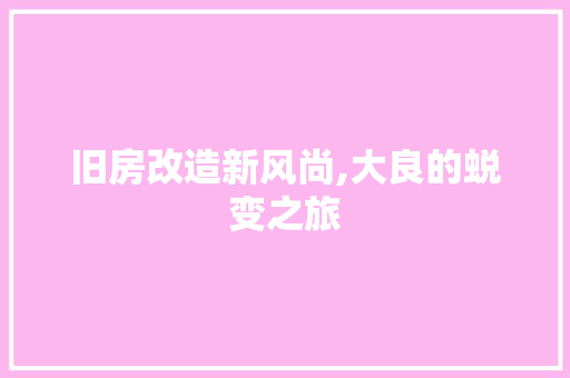 旧房改造新风尚,大良的蜕变之旅