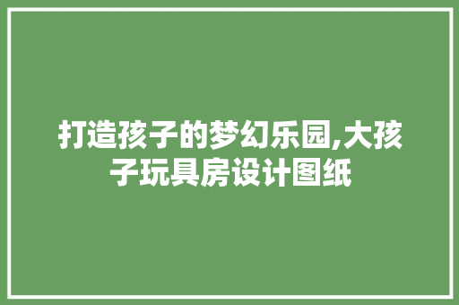 打造孩子的梦幻乐园,大孩子玩具房设计图纸
