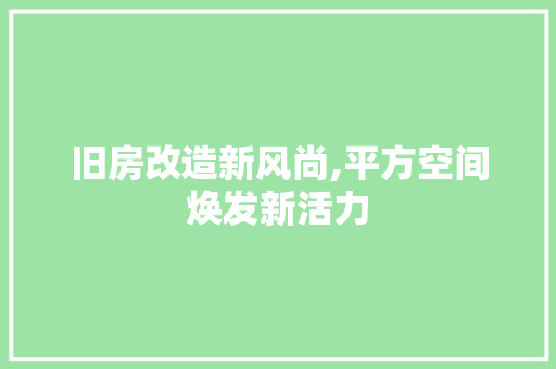 旧房改造新风尚,平方空间焕发新活力