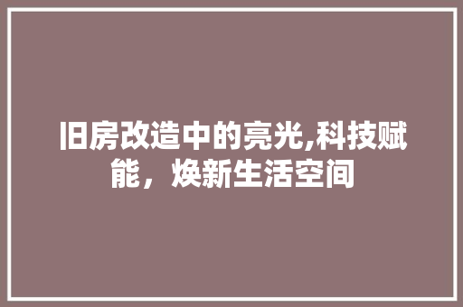 旧房改造中的亮光,科技赋能，焕新生活空间