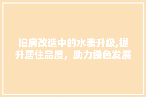 旧房改造中的水表升级,提升居住品质，助力绿色发展
