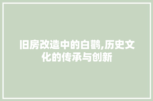 旧房改造中的白鹳,历史文化的传承与创新