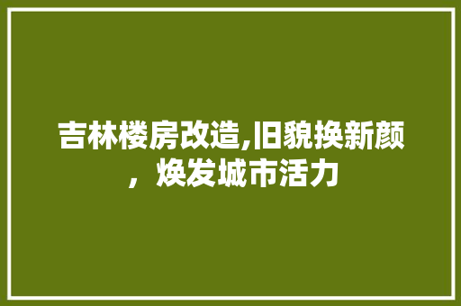 吉林楼房改造,旧貌换新颜，焕发城市活力