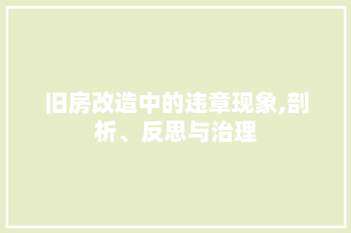 旧房改造中的违章现象,剖析、反思与治理