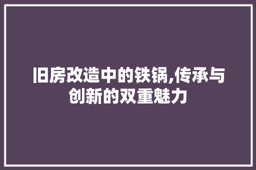 旧房改造中的铁锅,传承与创新的双重魅力