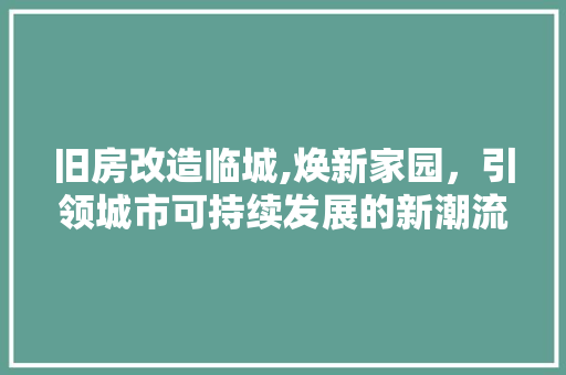 旧房改造临城,焕新家园，引领城市可持续发展的新潮流