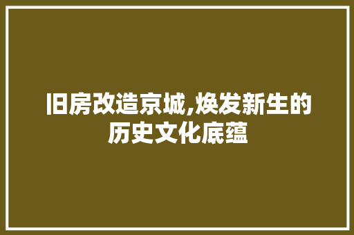旧房改造京城,焕发新生的历史文化底蕴