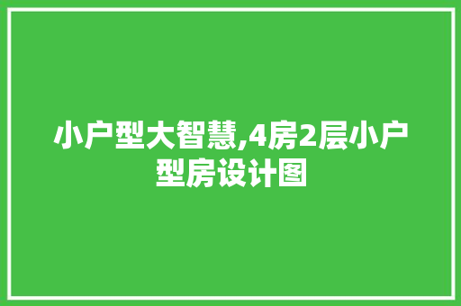 小户型大智慧,4房2层小户型房设计图
