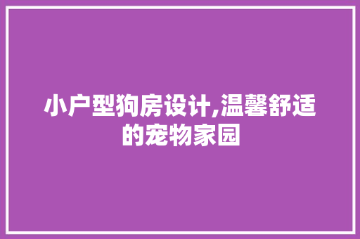 小户型狗房设计,温馨舒适的宠物家园