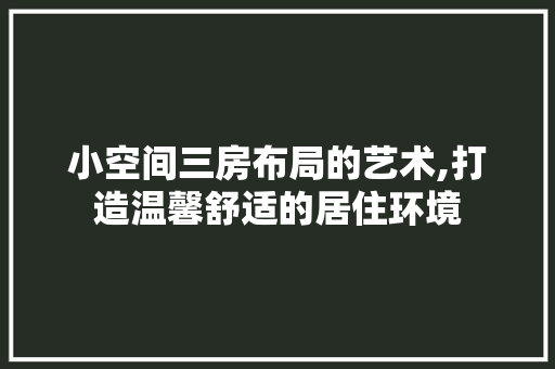 小空间三房布局的艺术,打造温馨舒适的居住环境