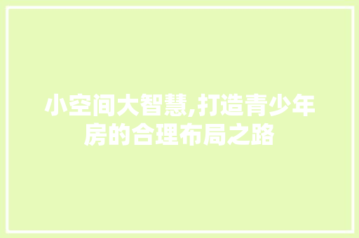 小空间大智慧,打造青少年房的合理布局之路