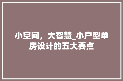 小空间，大智慧_小户型单房设计的五大要点