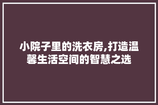 小院子里的洗衣房,打造温馨生活空间的智慧之选
