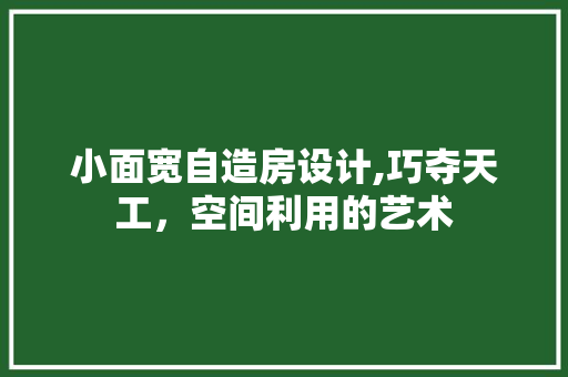 小面宽自造房设计,巧夺天工，空间利用的艺术